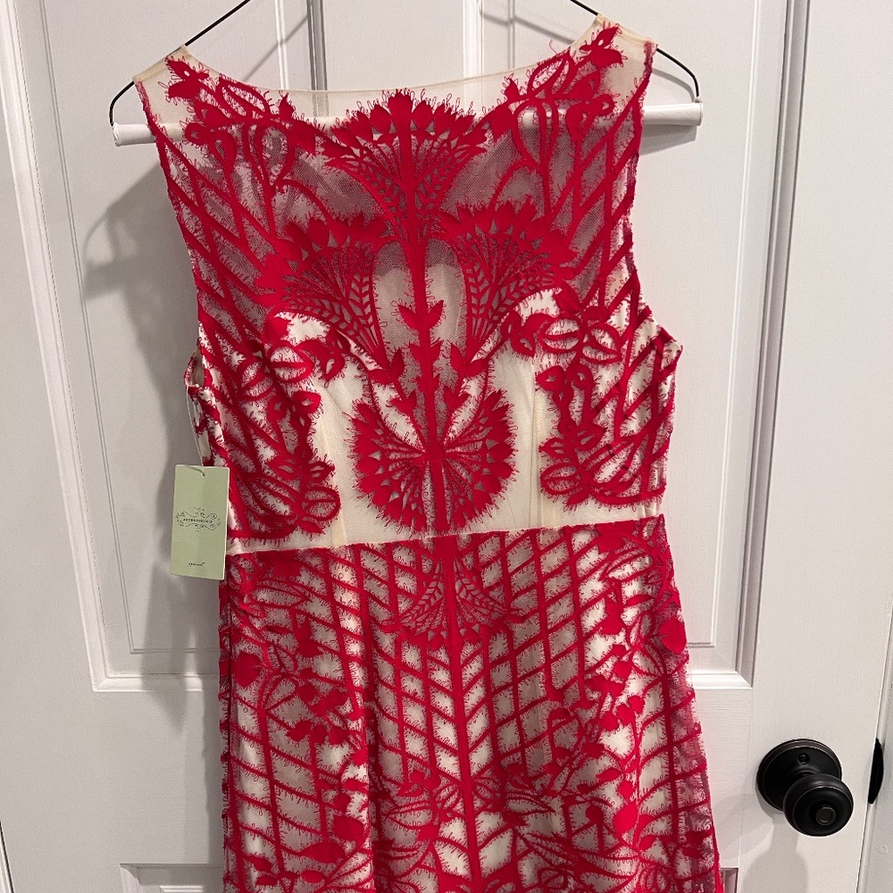 Red & Nude Lace Geisha Designs A Line Anthropologie dress